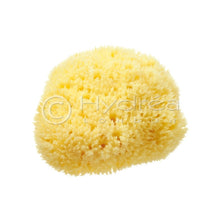 Load image into Gallery viewer, Hydrea London - Natural Sea Sponge Premium Honeycomb