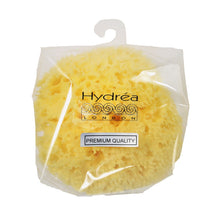 Load image into Gallery viewer, Hydrea London - Natural Sea Sponge Premium Honeycomb