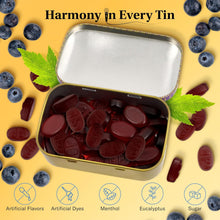 Load image into Gallery viewer, Grether&#39;s Blueberry Pastilles Sugarfree 110g
