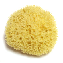 Load image into Gallery viewer, Hydrea London - Natural Sea Sponge Premium Honeycomb Sea Sponge - 2-2.5&quot;
