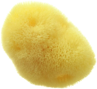 Hydrea London - Natural Sea Sponge - Premium Fine Silk Sea Sponge - 2-2.5